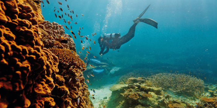 Tourist Attractions in Australia: Great Barrier Reef Tourist Attractions in Australia: Great Barrier Reef